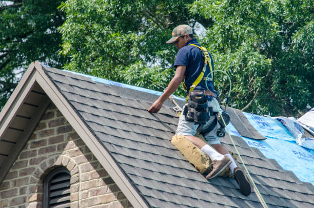 Gutter Installation and Roofing in Eldridge, IA