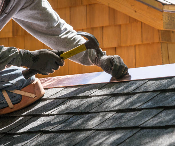 Best Roof Repair Services  in Eldridge, IA